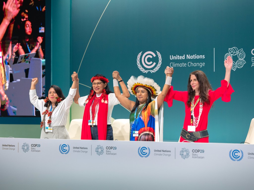 Competing Worldviews at COP&nbsp;30